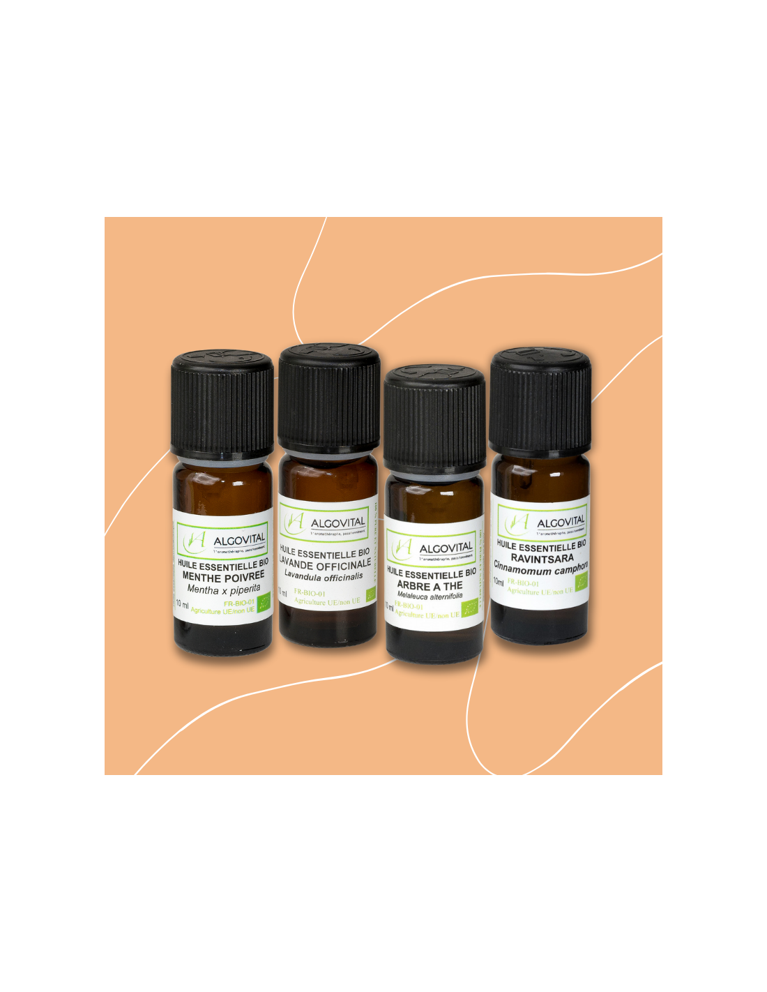 Coffret Aromathérapie - 10 huiles essentielles indispensables