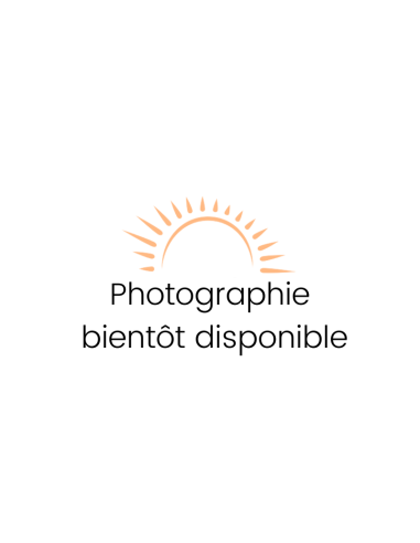 copy of Gant de massage en coton